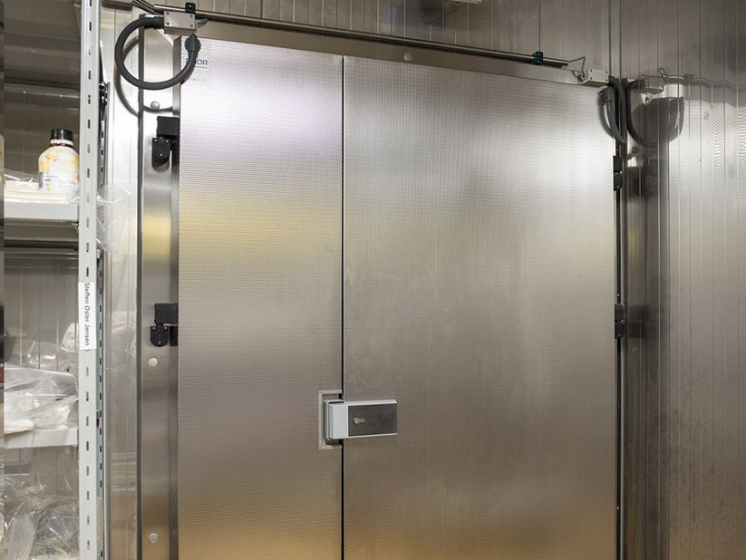 Hinged freezer room door